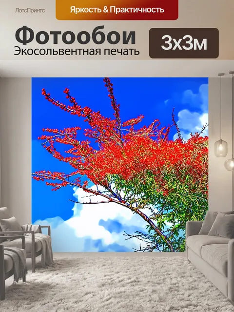 Фотообои рябина, соперничающая с синеватым небом, где резкие красные ягоды выделяются на фоне облаков