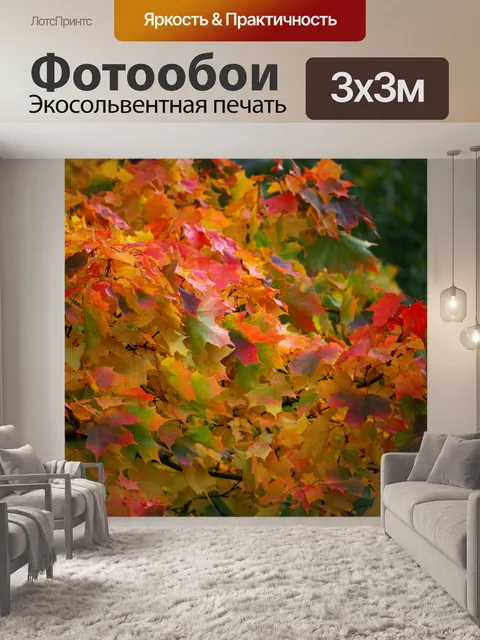 Фотообои Осень