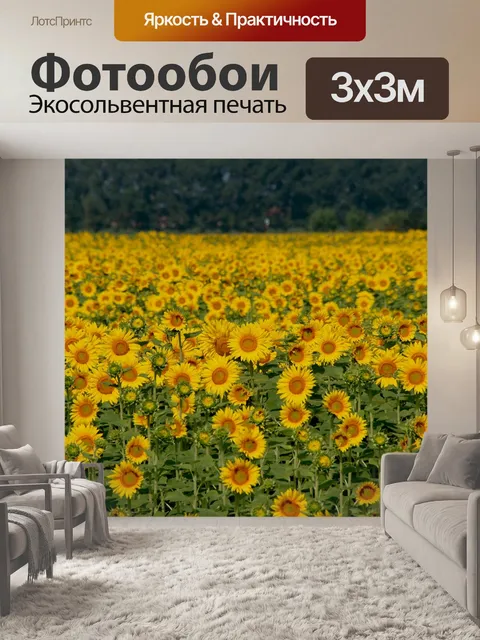Фотообои Подсолнухи
