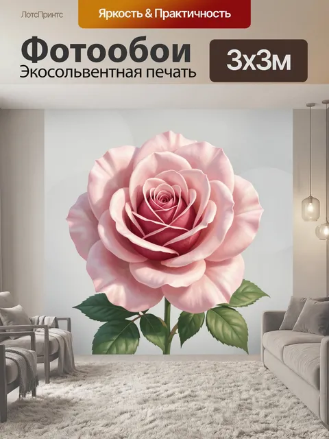 Фотообои Розовая садовая роза крупным планом