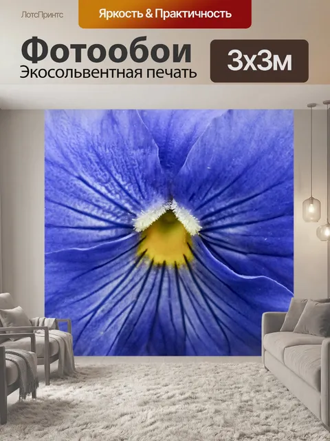 Фотообои Фиолетовый Панси Вверх