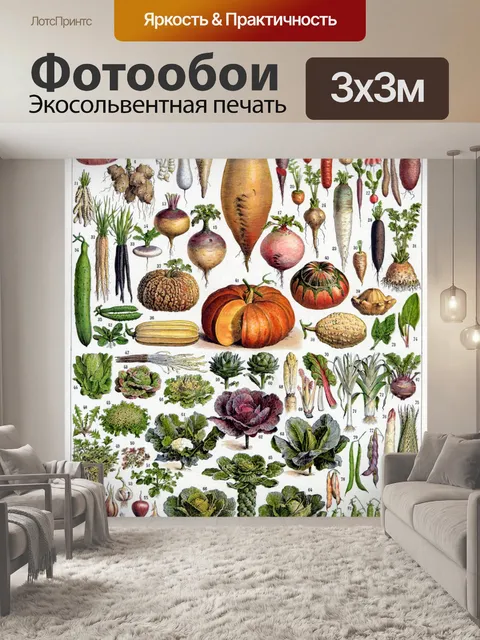 Фотообои Овощные салаты винтажное искусство