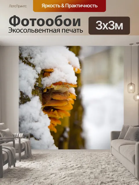 Фотообои Гриб на дереве
