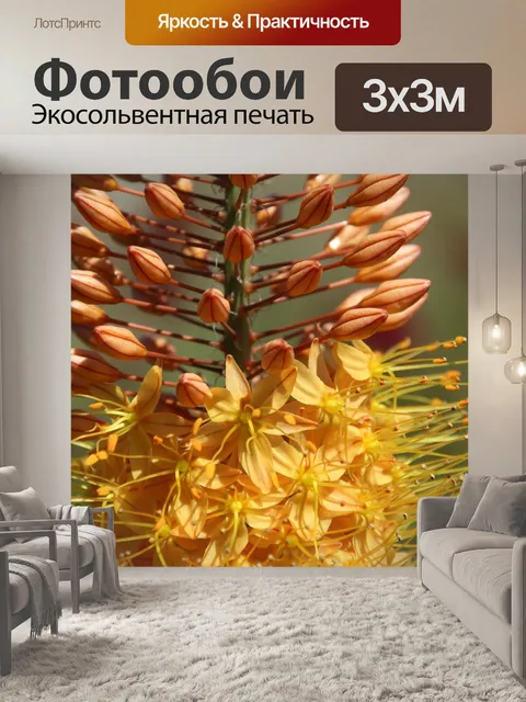 Фотообои Расцветает
