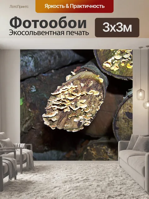 Фотообои Древесина