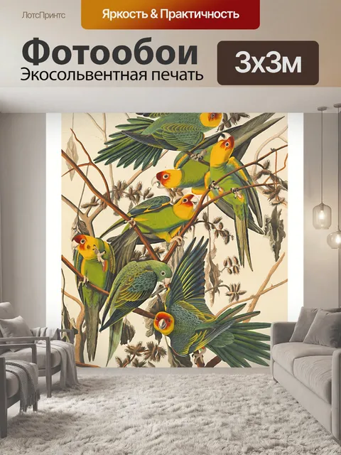 Фотообои Винтаж Искусство Попугаи Птицы
