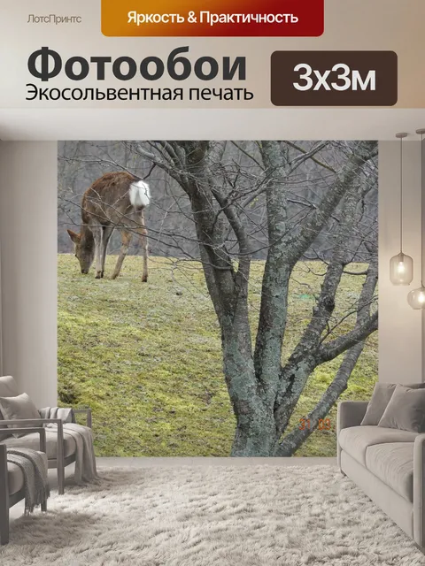 Фотообои олень