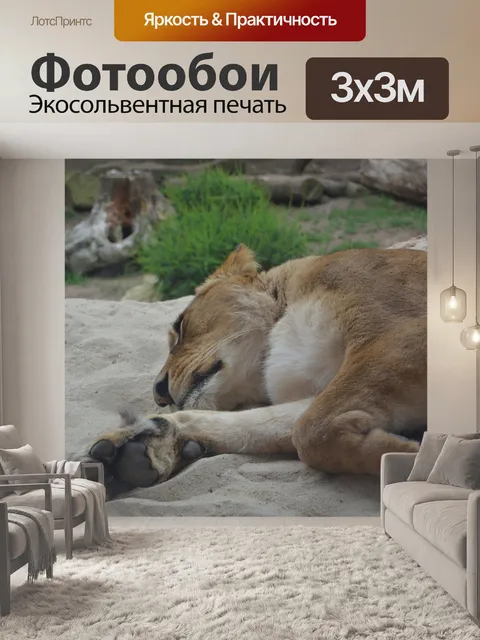 Фотообои Львица