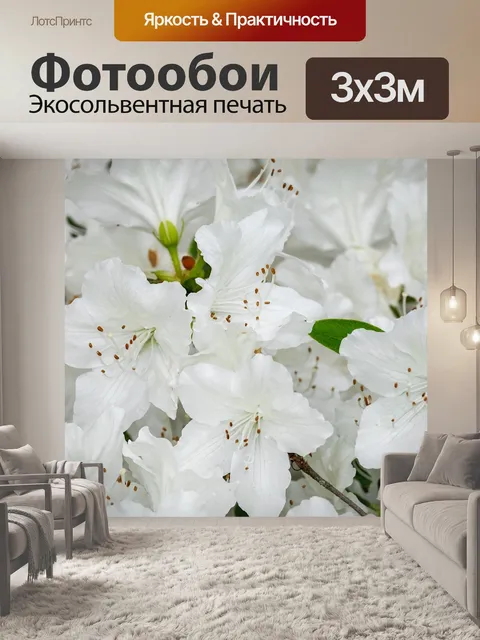 Фотообои Азалия