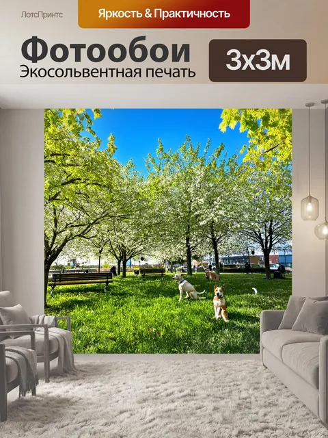 Фотообои весна, молодые листочки на деревьях, небеса синего цвета, солнечные лучи пробиваются через листву, бродячие…