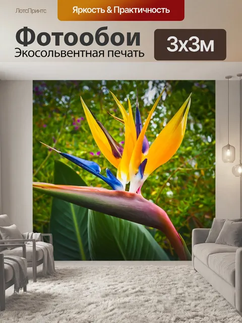 Фотообои Райская птица цветок