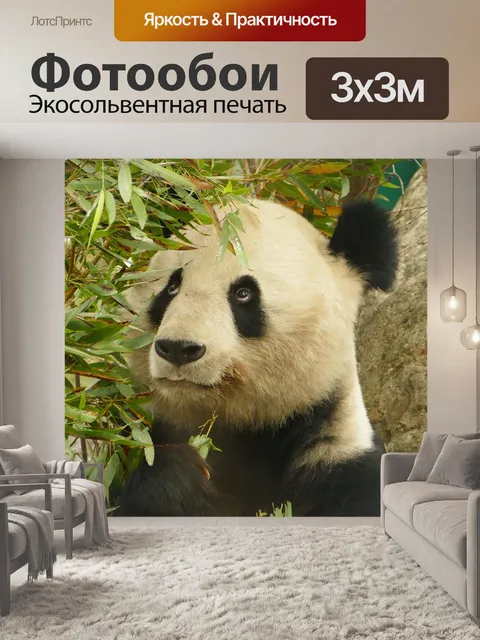 Фотообои Панда