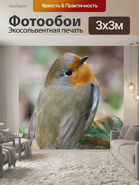 Фотообои Птица