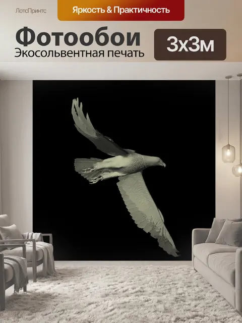 Фотообои Лысый орел 1