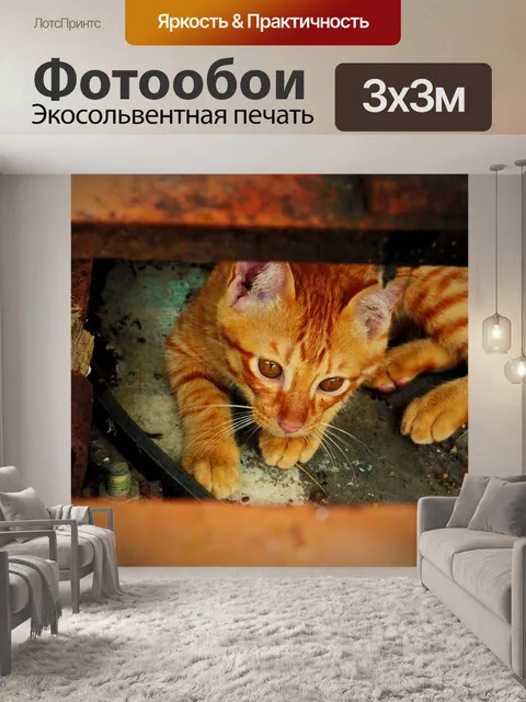 Фотообои Рыжий