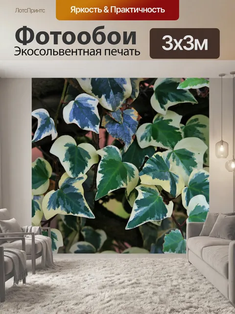 Фотообои восхождение плющ с зеленым и белым