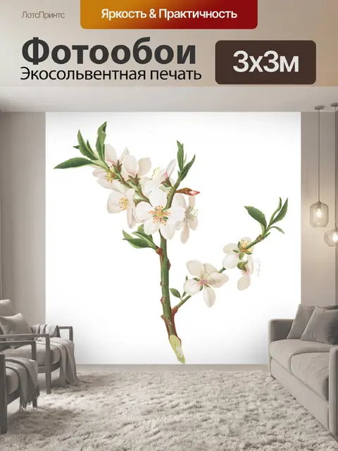 Фотообои Винтажный клипарт ветка сакуры