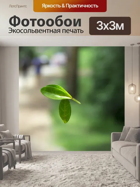 Фотообои Лист