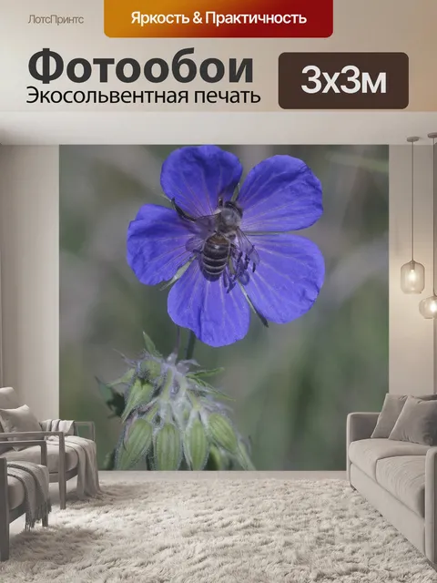 Фотообои Синий