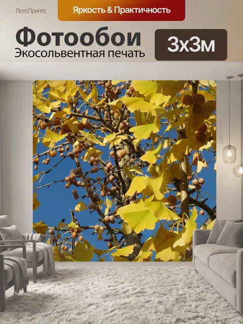 Фотообои Гинкго билоба
