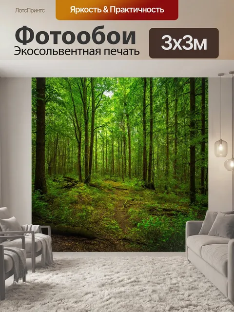 Фотообои лес с безмолвной красотой и покоем природы
