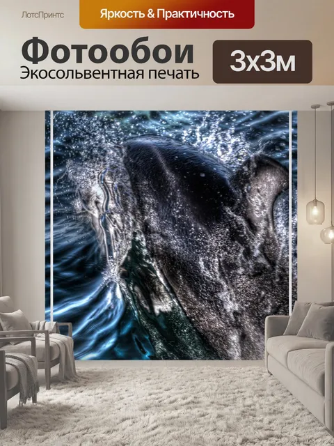 Фотообои Плакат с дельфинами Лагуна Калифорния