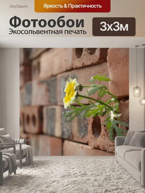 Фотообои Цветок