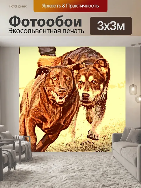 Фотообои Бегущие собаки