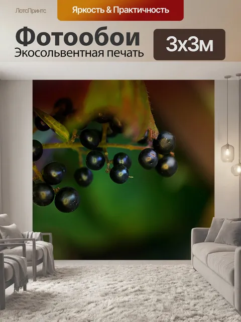 Фотообои Фрукты