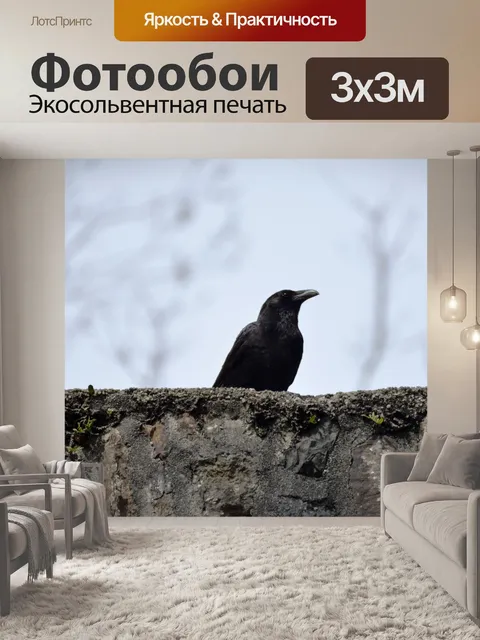 Фотообои Ворона на земле