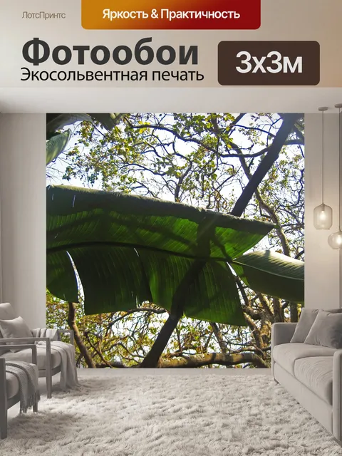 Фотообои большой зеленый лист бананового дерева