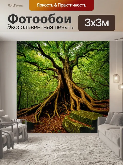 Фотообои лес с древними деревьями, корни которых обвивают камни