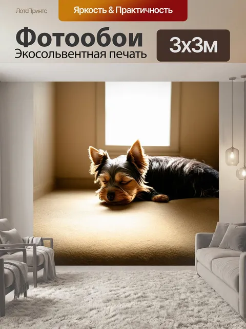 Фотообои йоркширский терьер, мирно спящий в уютном уголке комнаты, возле окна, из которого льется мягкий свет
