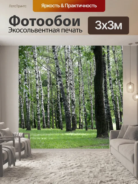 Фотообои Березы