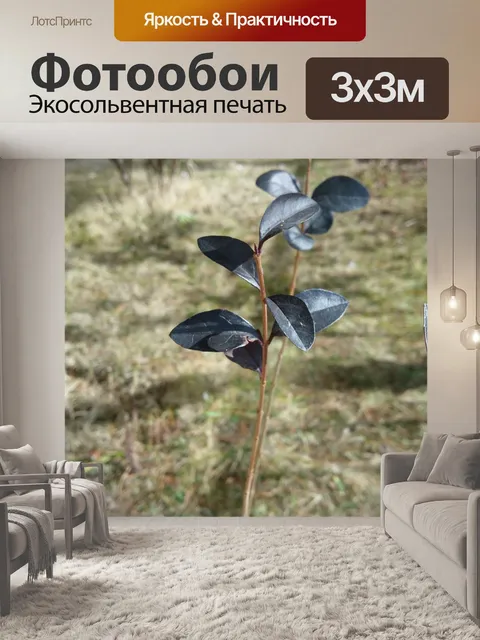 Фотообои Ботаник