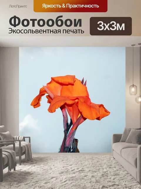 Фотообои оранжевый Канна лилии