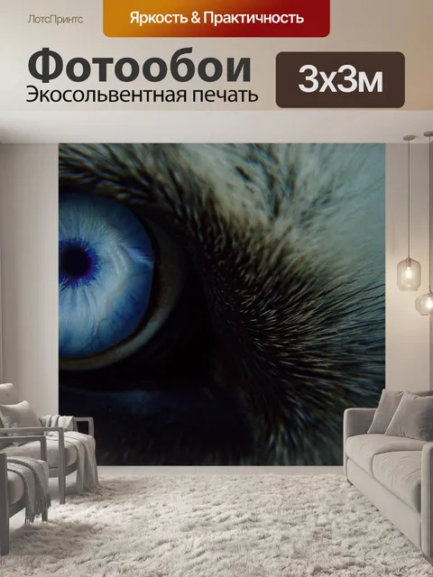 Фотообои Волк