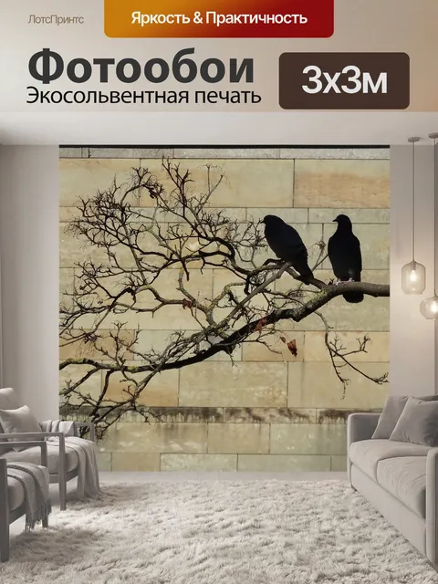 Фотообои Голубь