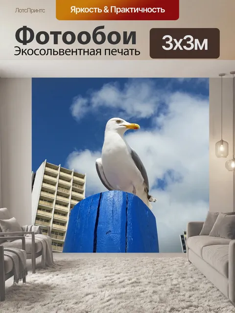 Фотообои Чайка