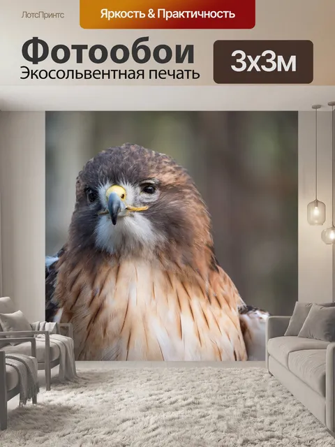 Фотообои Золотой орёл