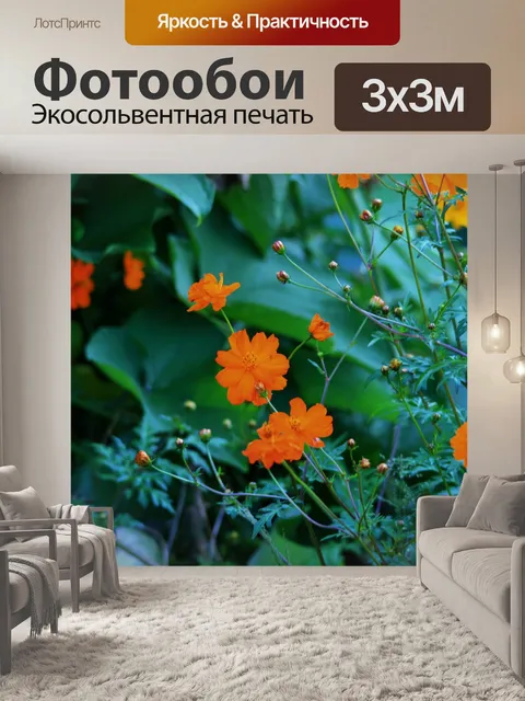 Фотообои желтые космос и зеленые Сквош