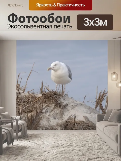 Фотообои Чайка