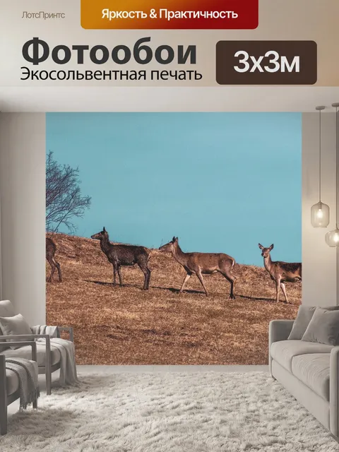 Фотообои Дикий