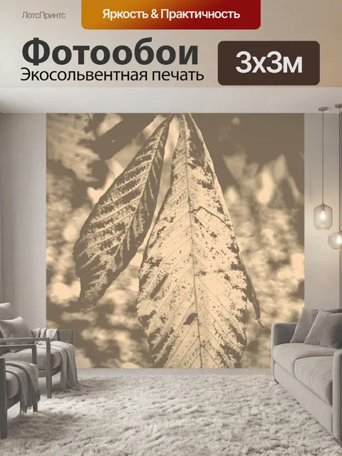 Фотообои Листья обои