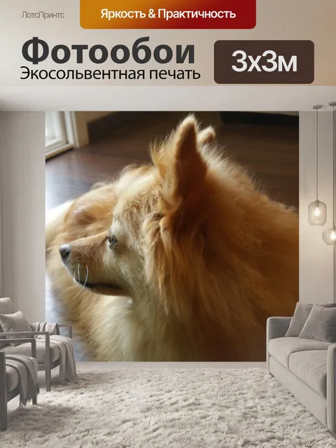 Фотообои Поморское Посмотреть