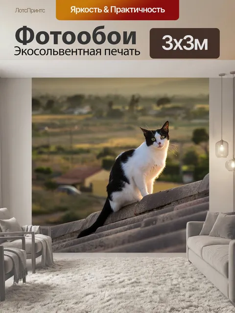 Фотообои Кот