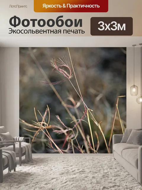 Фотообои сухие изогнутые пучки семян травы