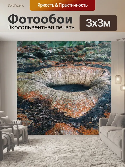 Фотообои Дерево