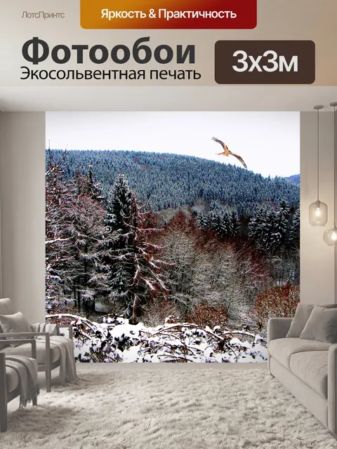 Фотообои Лес зимой