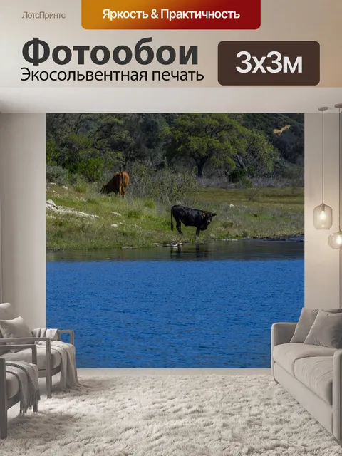 Фотообои коровы у озера